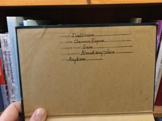 4493186b-b7b9-409e-bc19-a318acde7201